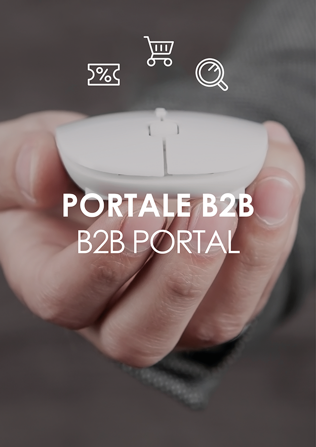 > Portale B2B